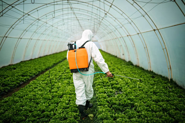 Trusted Princeville, HI Pest Control Experts