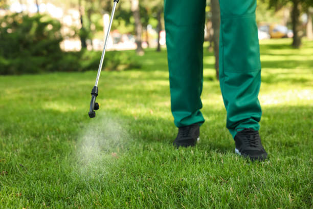 Best Ant Control Services  in Princeville, HI