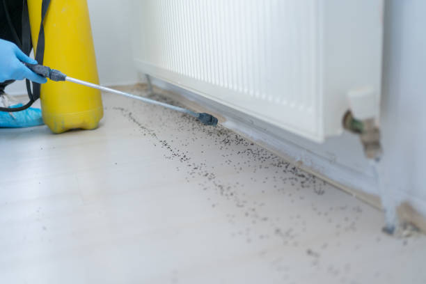 Best Commercial Pest Control Services  in Princeville, HI